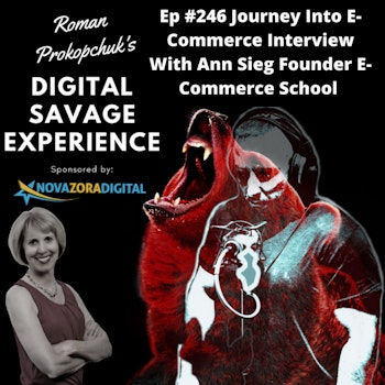 Ep #246 Journey Into E-Commerce Interview With Ann Sieg Founder E-Commerce School