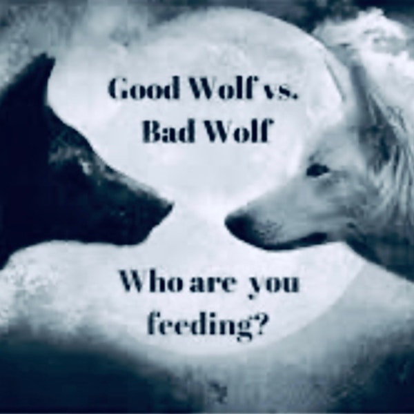 Good Wolf 🐺 vs Bad Wolf