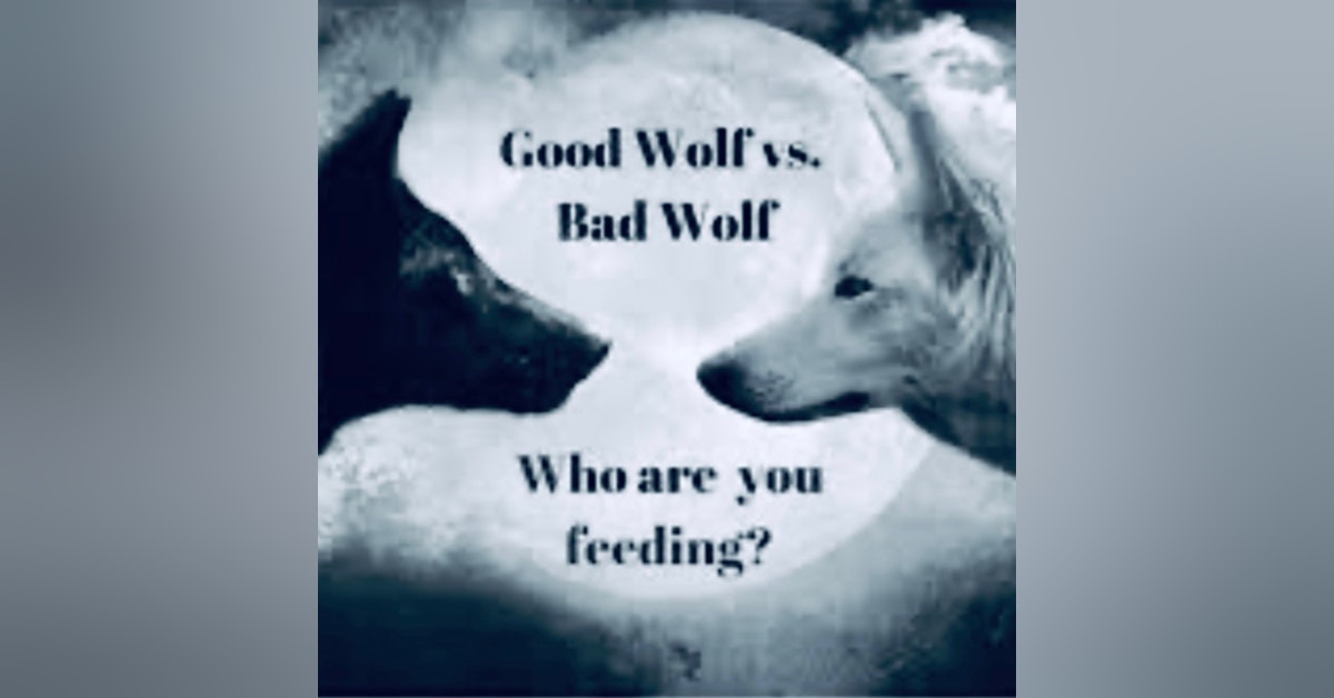 Good Wolf 🐺 vs Bad Wolf