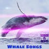 Sacred Whale Songs 
Healing Power of Whale Songs 
Relaxation/Deep Sleep/Consciousness Activation