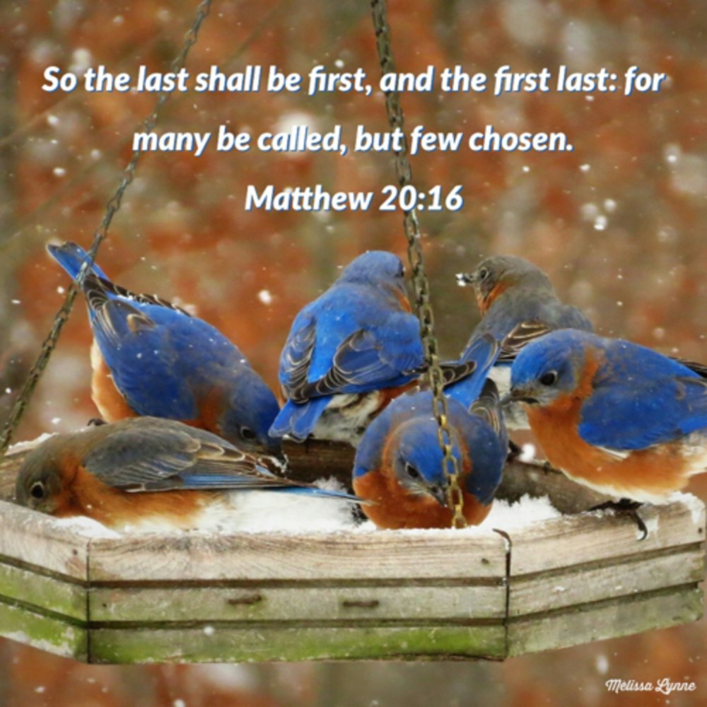January 30 - For Many are Called, but Few are Chosen