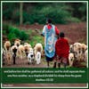 February 8, 2022 - As the Shepherd Divideth His Sheep from His Goats