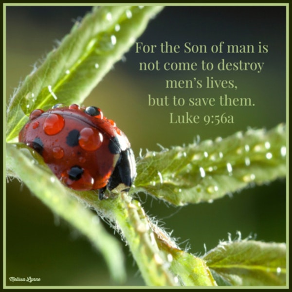 April 2, 2022 - The Son of Man is Not Come to Destroy Men’s Lives, But to Save Them
