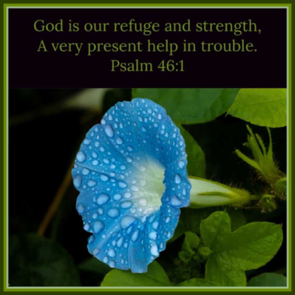 September 2, 2022 - Our Refuge, Our Strength, Our Very Present Help