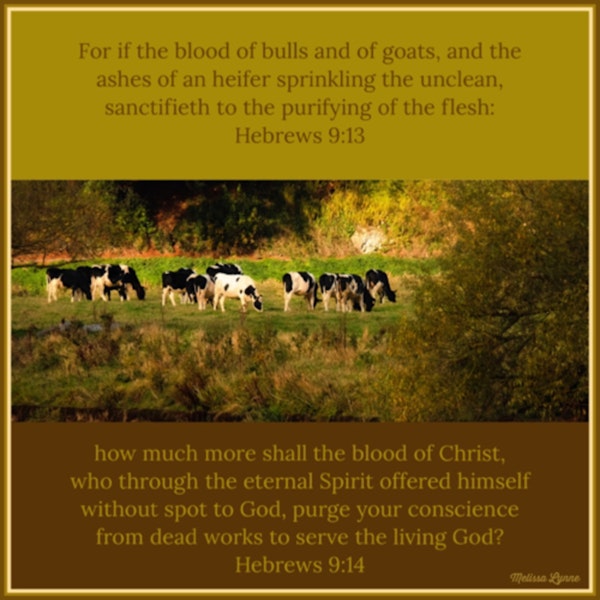 November 8, 2022 - How Much More Shall the Blood of Christ Purge Your Conscience?