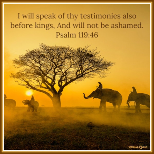 November 23, 2022 - I Will Speak of Thy Testimonies Also Before Kings