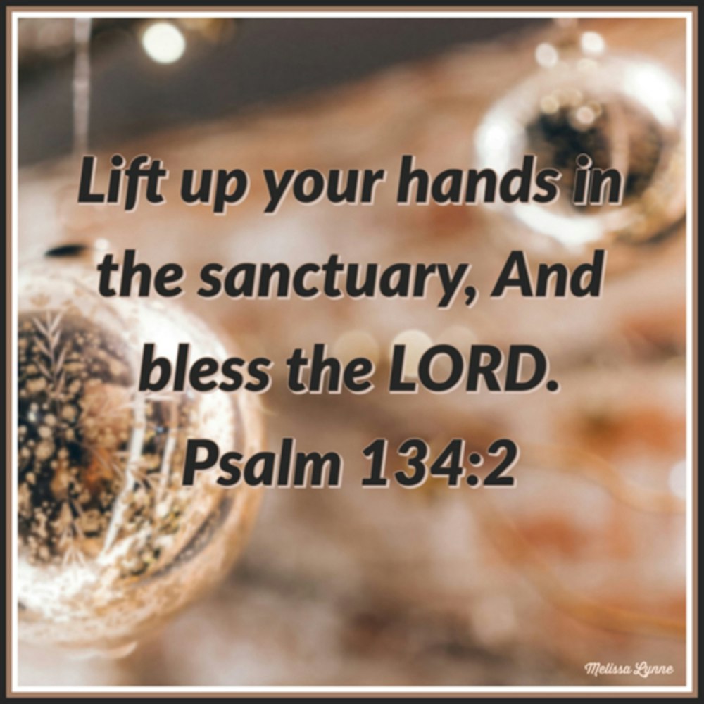 December 15, 2022 - Lift Up Your Hands in the Sanctuary