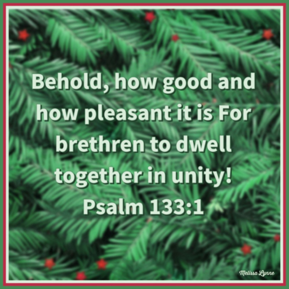 December 14, 2022 - How Good and How Pleasant it is for Brethren to Dwell in Unity
