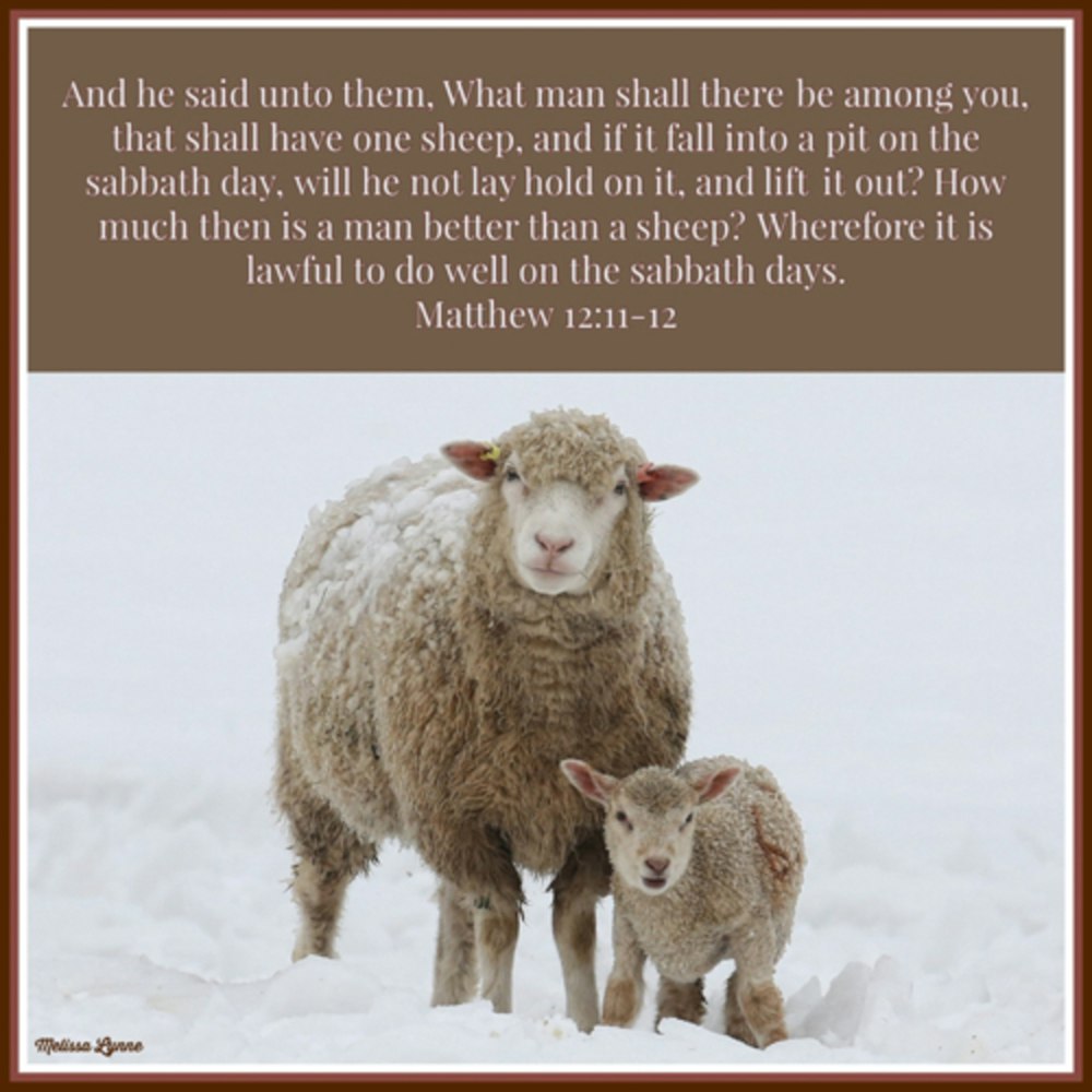 January 17, 2023 - How Much then is a Man Better than a Sheep?