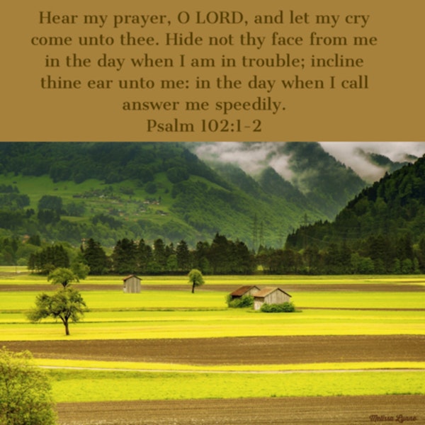 May 1, 2023 - Hear My Prayer, O LORD