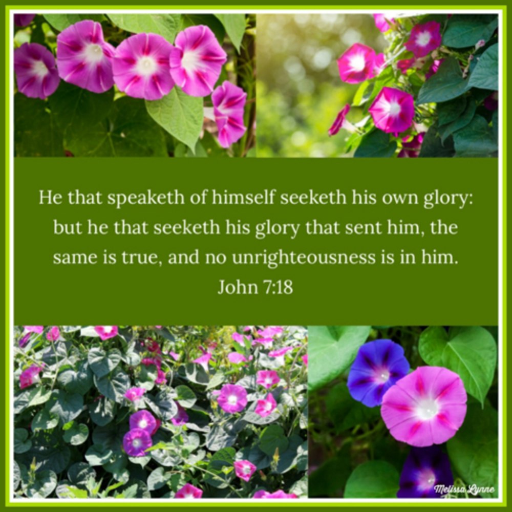 May 12, 2023 - He That Speaketh of Himself Seeketh His Own Glory