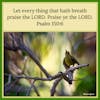 July 2, 2023 - Let Every Thing that Hath Breath Praise the LORD