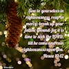December 8, 2023 - Seek the LORD Till He Come and Rain Righteousness Upon You