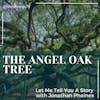 Ep. 19 The Angel Oak Tree