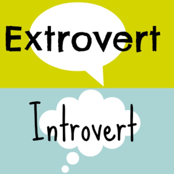 Extroverted Introvert
