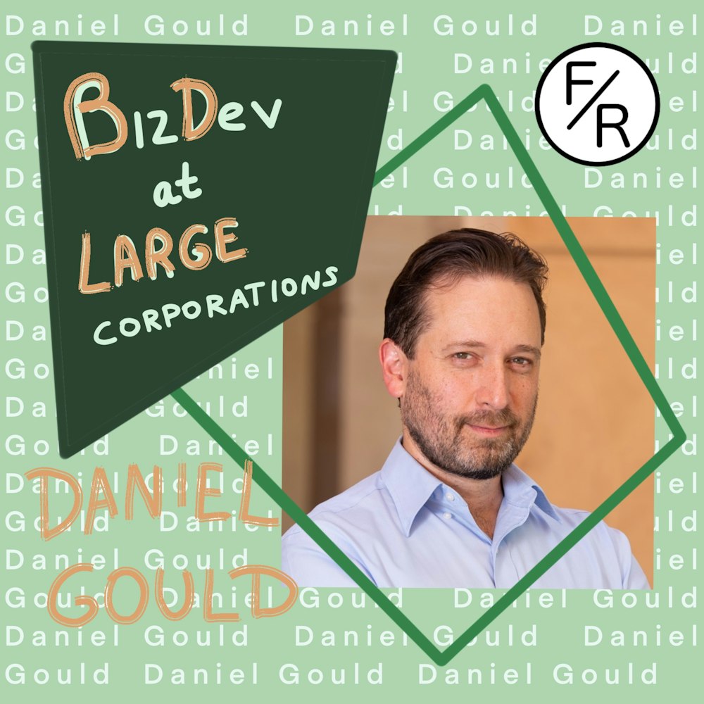 Business Development at Large Corporations vs. Small Startups #2 - With Daniel Gould