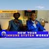 How your Immune System Works With Doctor George Xavier Love