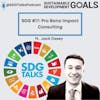 SDG #17: Pro Bono Impact Consulting with Jack Casey