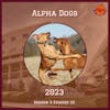 Alpha Dogs 2023