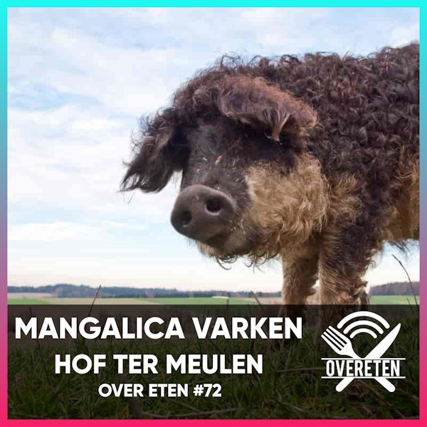 Mangalica Varkens, Hof Ter Meulen - Over Eten #72