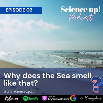 Why the Sea smell like that?