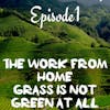 *Social Distancing- Episode 1; The Work From Home Grass is Not Green At All