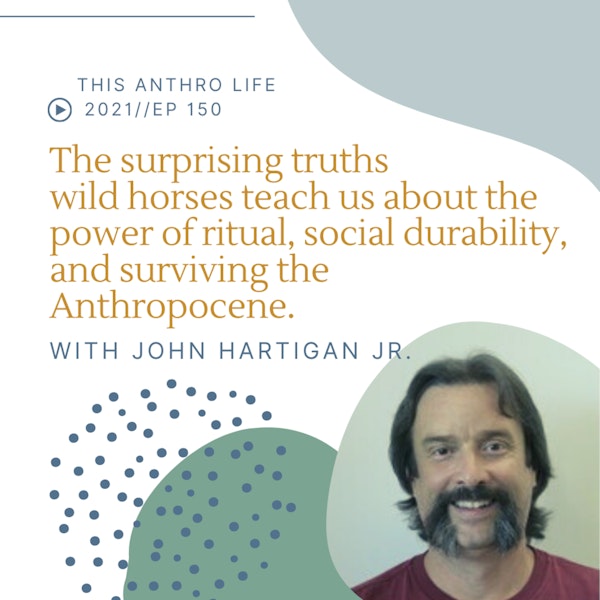 The surprising truths wild horses teach us about the power of ritual, social durability, and surviving the Anthropocene with John Hartigan Jr.