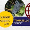 South Jersey Wineries pt11 🍾 Tomasello Winery in Hammonton