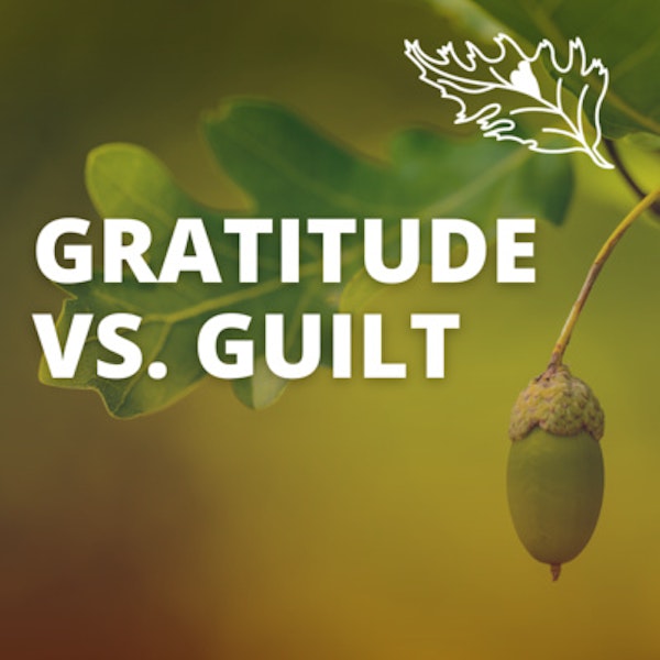 From Guilt to Gratitude with Dawn Mathis