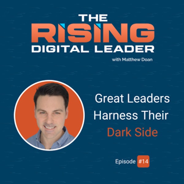 14: Great Leaders Harness Their Dark Side