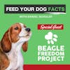 Special Guest: Beagle Freedom Project with Melissa McWilliams