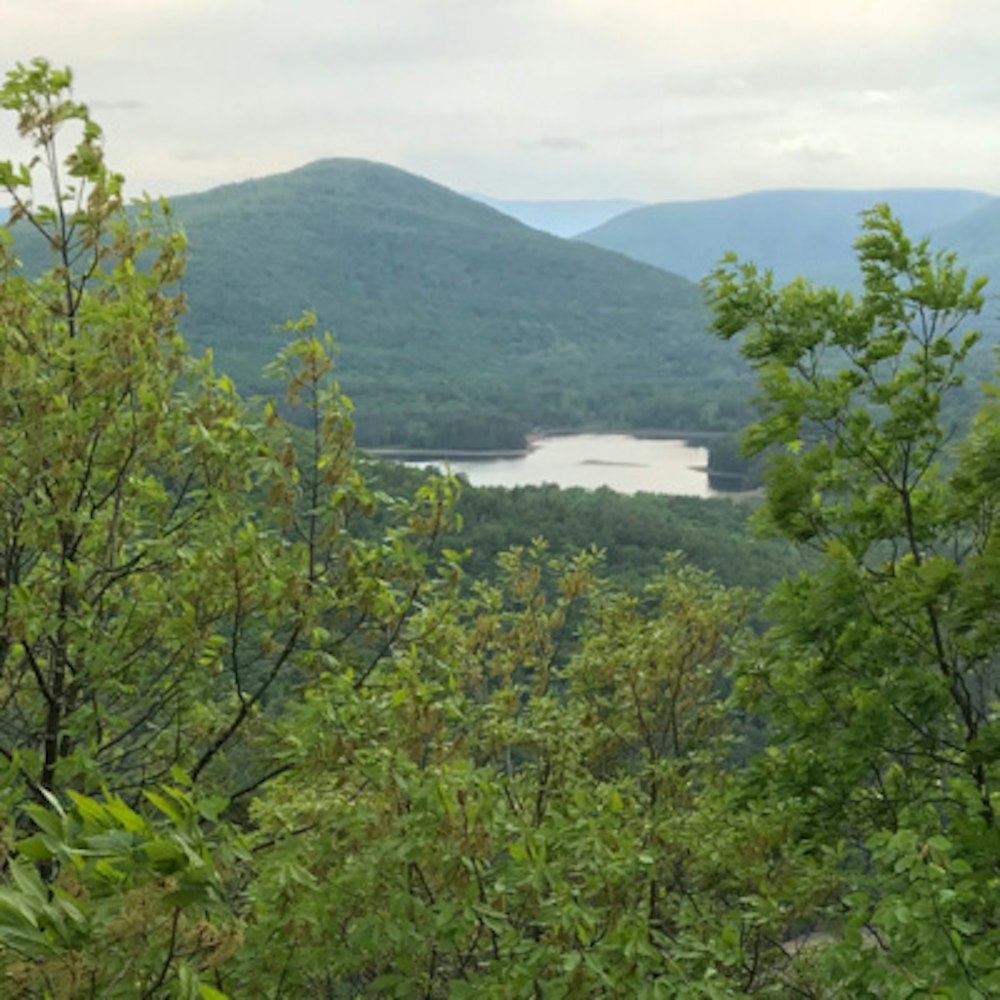 Outdoor Guides of the Catskills: The “Adventure Experts”
