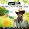 #283 Internal Spring Cleaning