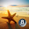 Beach Day 8 Hours | Ocean Sounds Help You Relax, Meditate or Fall Asleep