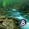 Forest Creek Water Sounds for Stress Relief, Relaxation or Sleep 8 Hours