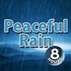 Peaceful Rain Sounds to help you Study, Focus, Relax or Sleep 8 Hours