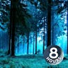 Forest Night Nature Sounds for Sleep or Studying 8 hours | White Noise
