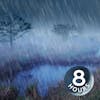 Rain + River Night Ambience 8 Hours | Nature White Noise for Studying, Sleeping or Stress Relief
