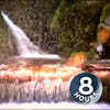 Waterfall White Noise for Focus, Studying or Relaxation 8 Hours