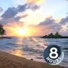 Ocean Sounds for Sleeping, Studying or Relaxing 8 Hours | Hawaii Nature White Noise