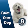 Calm Your Dog with White Noise 8 Hours | Relaxing Sound Soothes Puppy Anxiety Fast