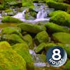 Mountain Stream Water Sounds White Noise for Sleep, Focus or Studying (8 Hours)