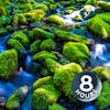 Relaxing Water Sounds for Sleep, Stress Relief, Focus | Mountain Stream White Noise 8 Hours