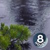 Rain Falling on Pond with Rolling Thunder 8 Hours | Natural White Noise for Relaxation and Sleep