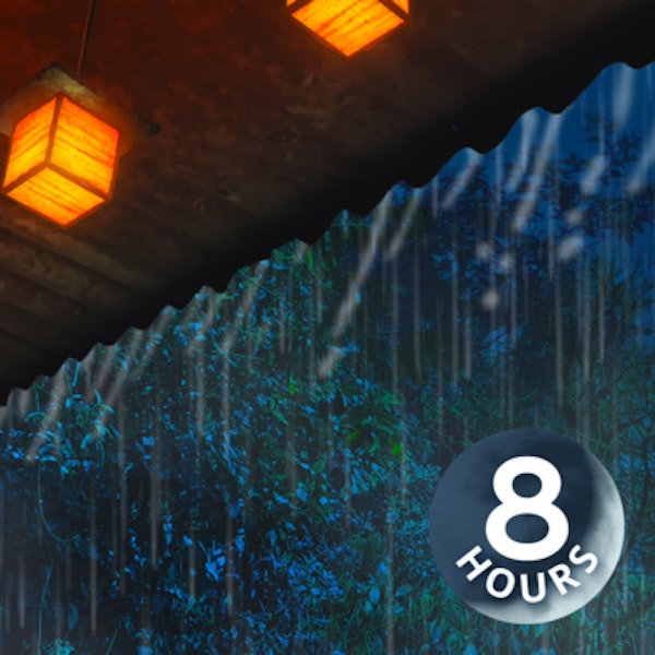 Rainstorm on Tin Roof in Enchanted Jungle 8 Hours | Rain Sounds for Sleep with Forest Ambience