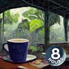Coffee Shop in Rainforest Ambience | Relaxing Rain Sounds on Tin Roof 8 Hours