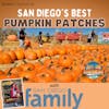 San Diego's Best Pumpkin Patches