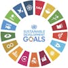SDG #16 - Positive Storytelling to Inspire Change with Kasha Sequoia Slavner