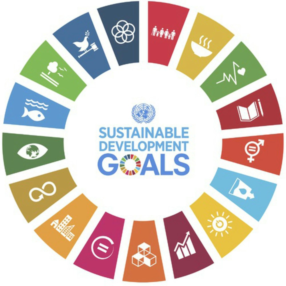 SDG #13 - Alternative Energy Strategies with Luke Barbagallo