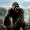 4.2 King Kong (2005)